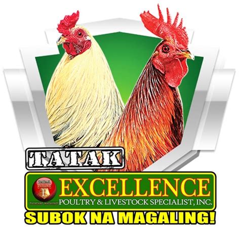 tatak excellence logo